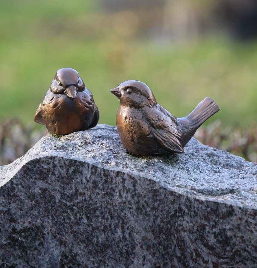 birds-4821778_1280